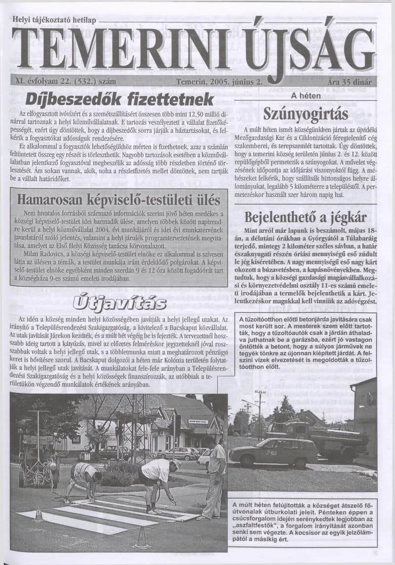 Temerini Újság, 11. évf. 2005. június 2. 22. sz.