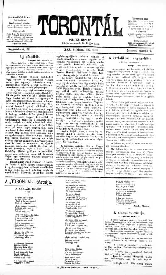 Torontál, 30. évf. 1901. november 7. 255. sz.