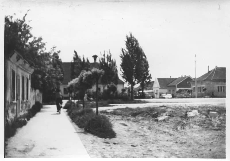 Temerin - A központi rész