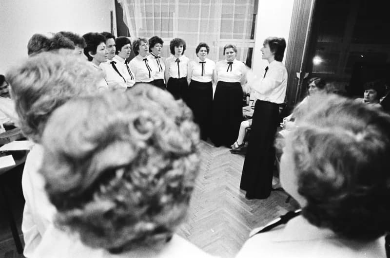 A Tiszavirág Zentán