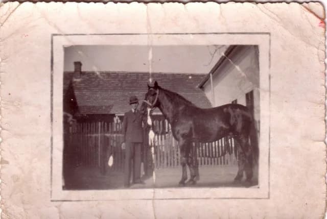 Szöllősi István a lovával