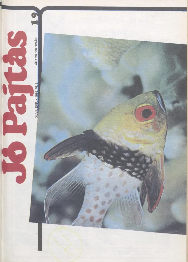Jó Pajtás, 47. évf. 1993. június 3. 19. sz.