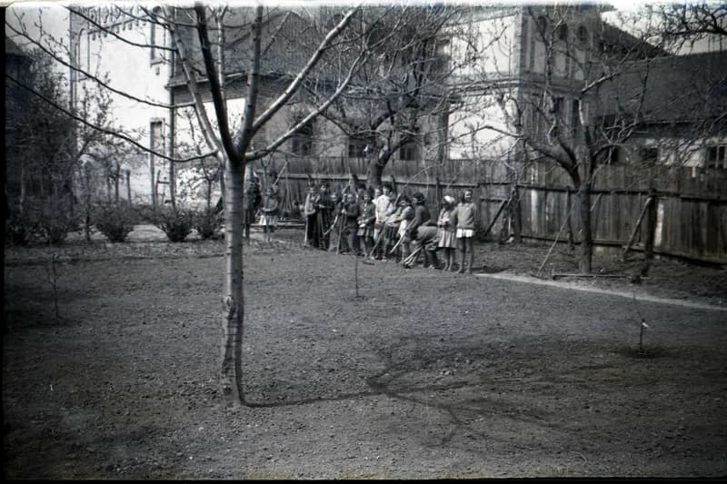 Kertészkedés az iskolában