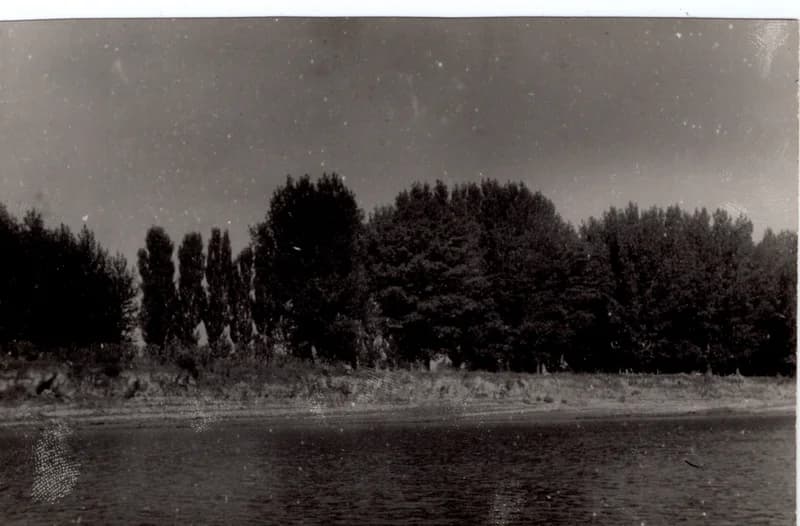 Eugén-sziget (Poronty-sziget)