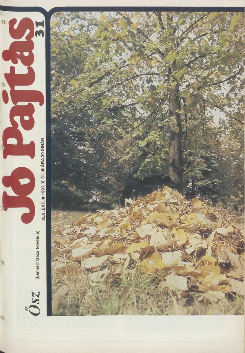 Jó Pajtás, 45. évf. 1991. október 31. 31. sz.