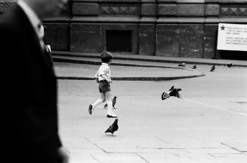 Gyerekek Újvidék utcáin