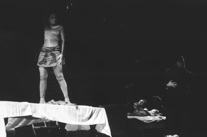 Mrozek: Ház a határon