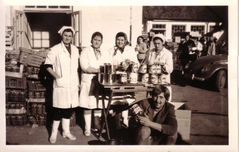 Kanizsai zöldség-gyümölcs  konzerváló