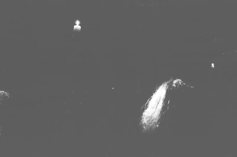 Bayer aszpirin - az Újvidéki Színház előadása