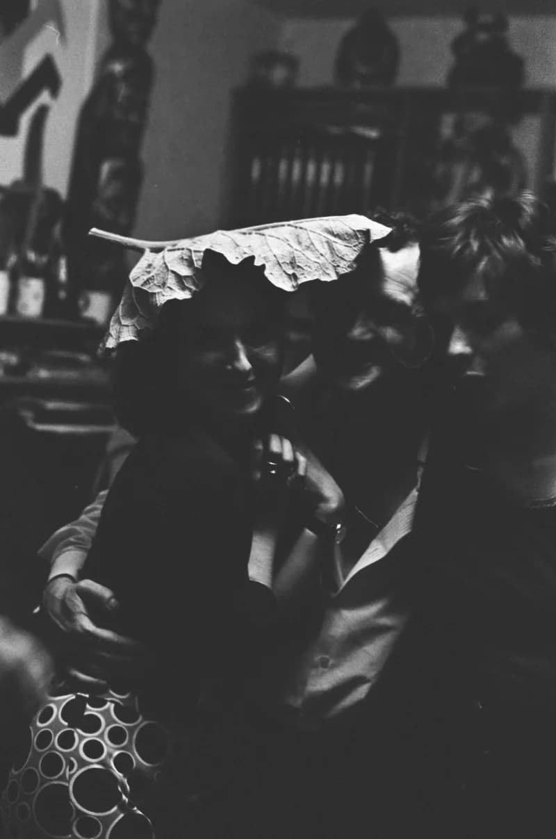 Budapest (ismeretlen társaság)