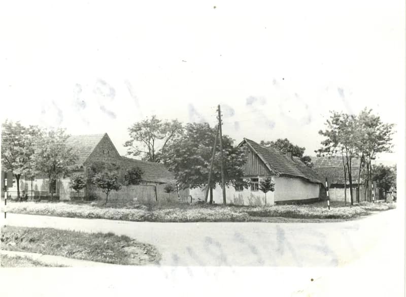 Dózsa György út, Halpiac