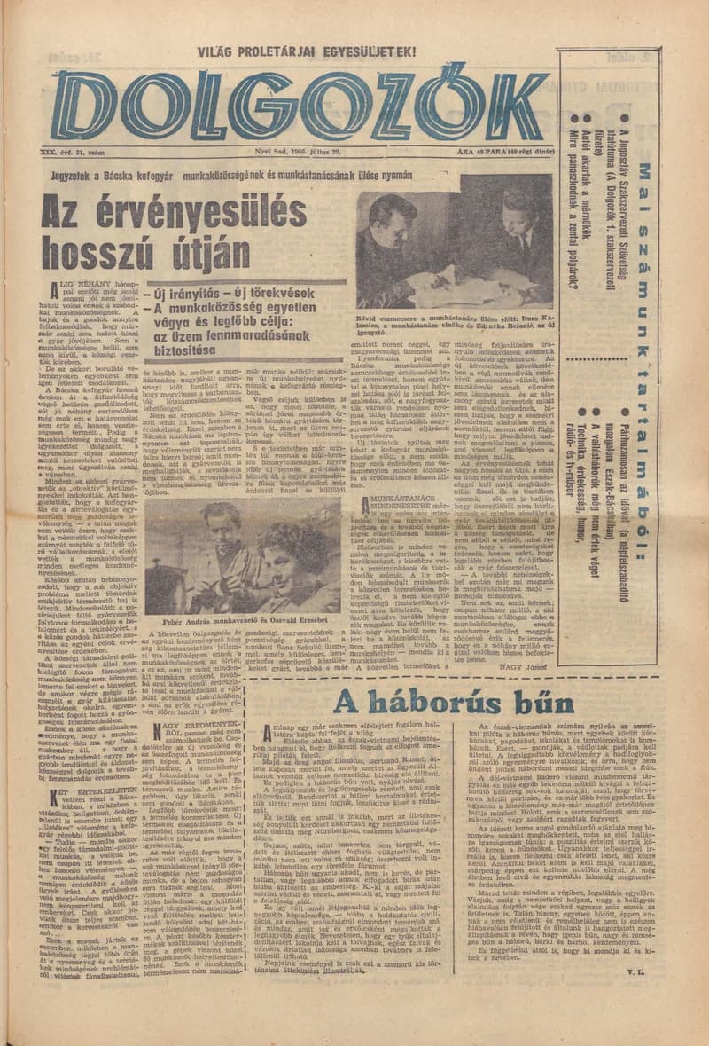 Dolgozók, 20. évf. 1966. július 29. 31. sz.