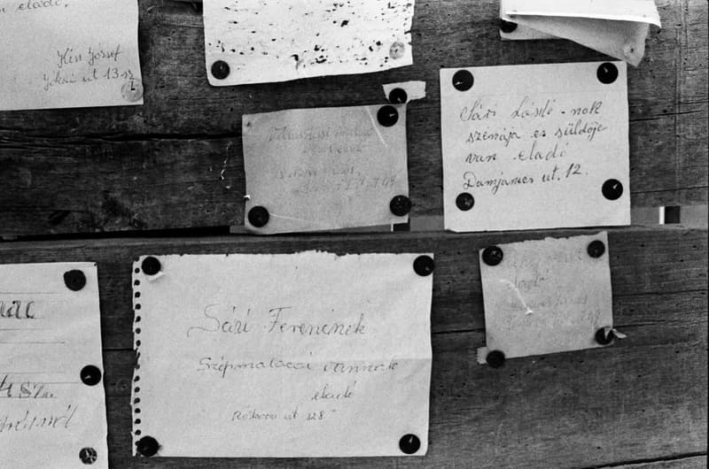 Gyurkovics Hunor és a Pelikán lányok