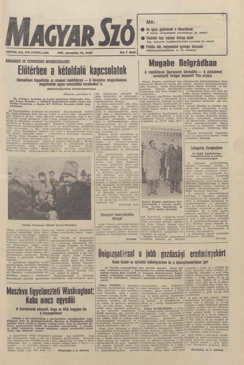 Magyar Szó, 38. évf. 1981. november 10. 310. sz.
