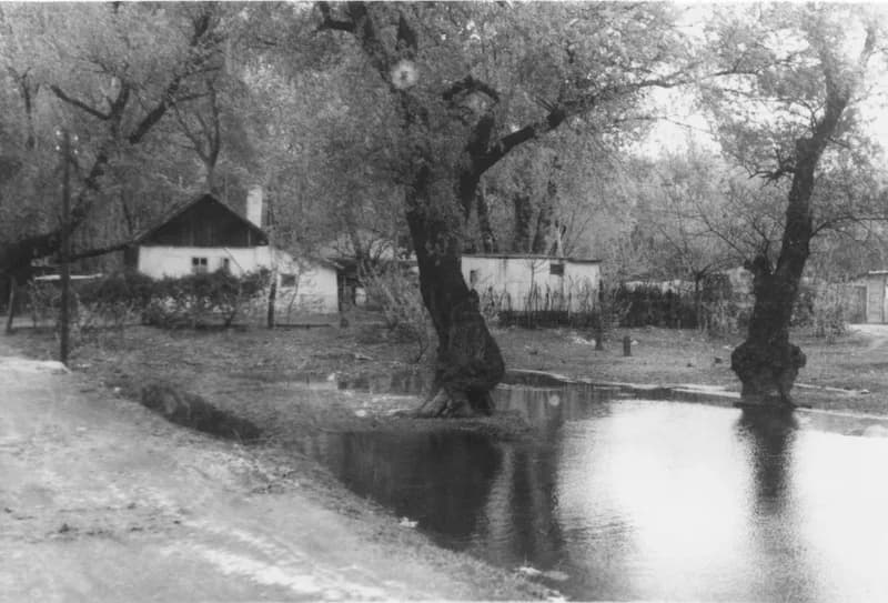 Újvidéki Horgász sziget