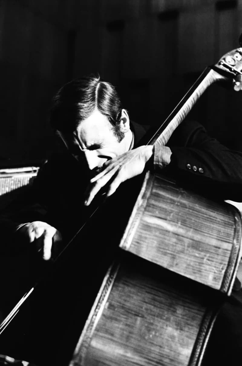 Duško Gojković és bandája