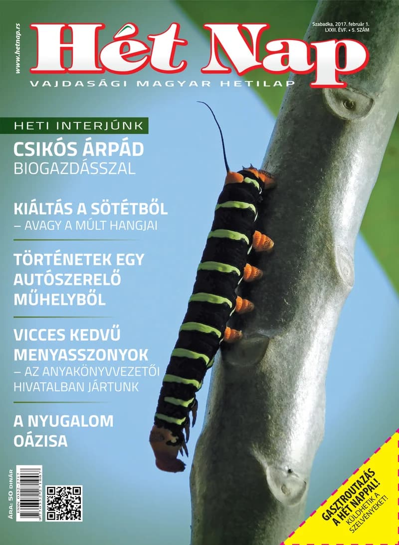 7 Nap, 72. évf. 2017. február 1. 5. sz.