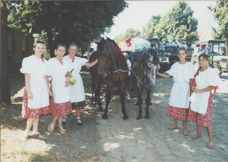 Hertelendyfalvi Arató Napok 