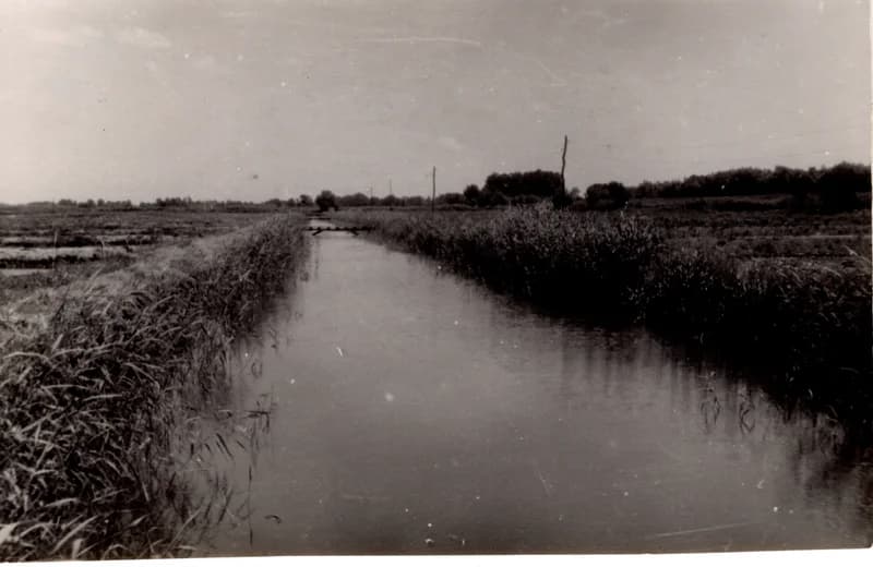 Az écskai halgazdaság