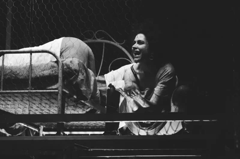 Tömöry Péter (r.), Tolnai Ottó: Paripacitrom 