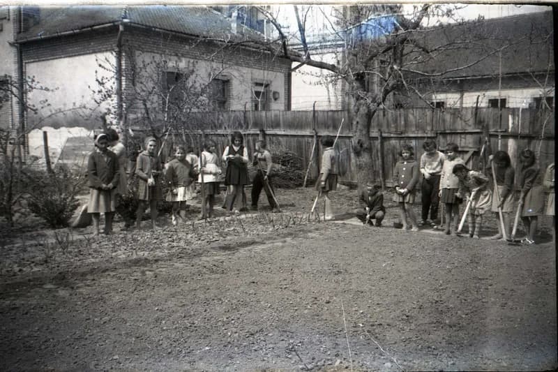 Kertészkedés az iskolában