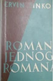 Roman jednog romana