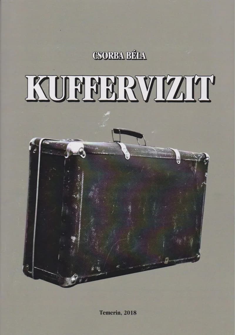 Kuffervizit