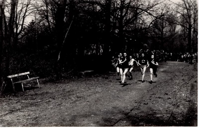 Iskolások mezei futóversenye a Népkertben