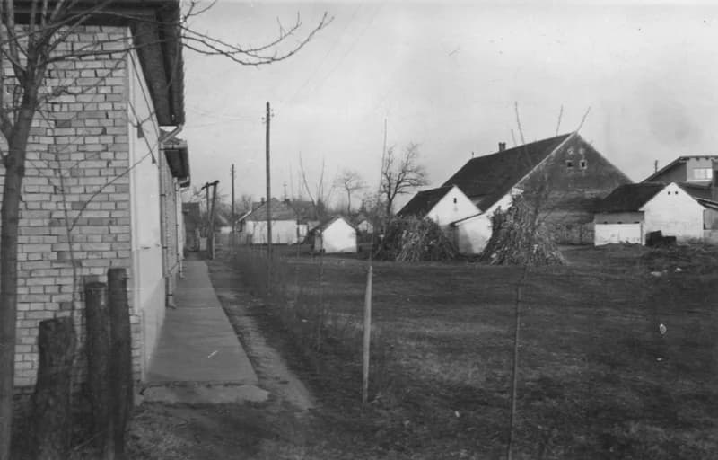 A nyugati bikaistálló 