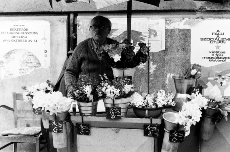 Budapest (ismeretlen férfi)