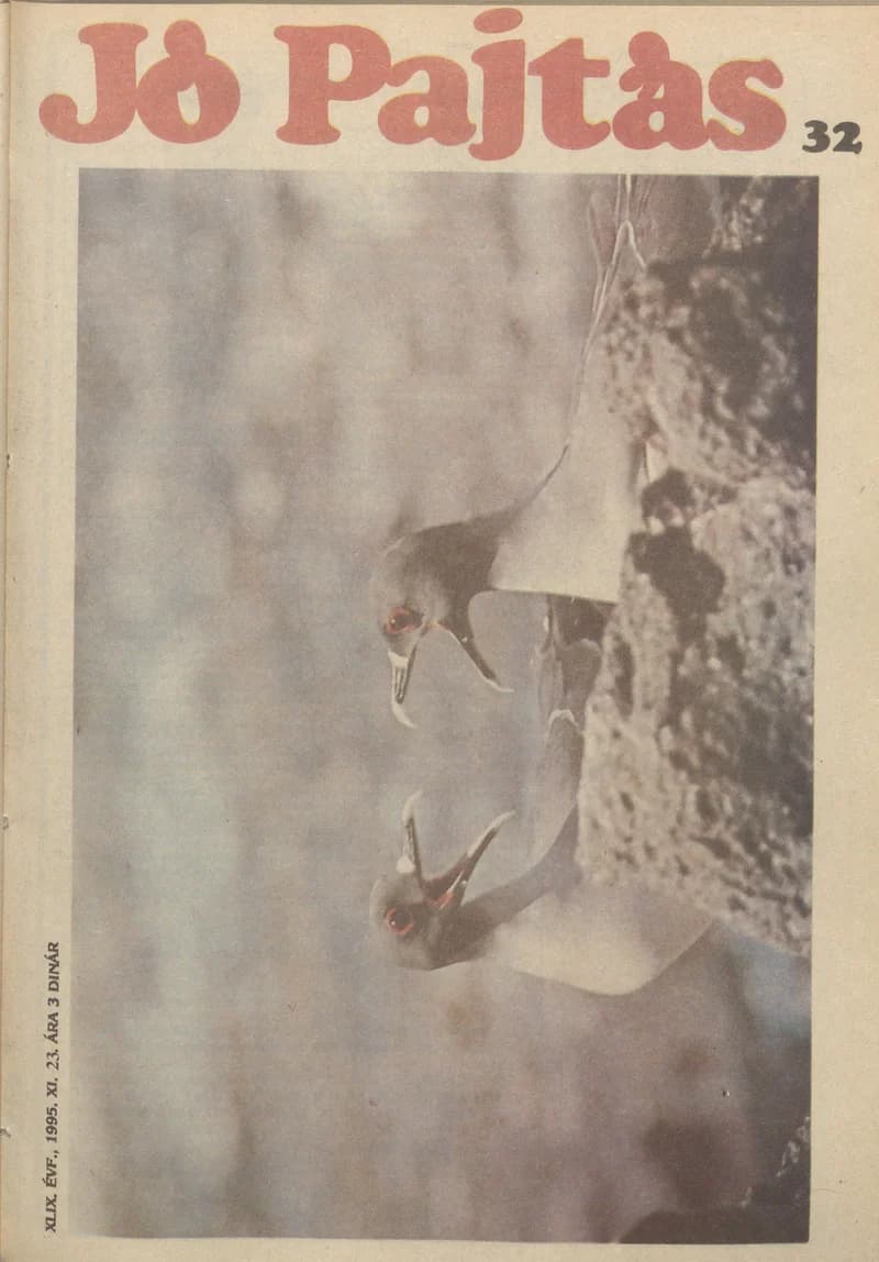 Jó Pajtás, 49. évf. 1995. november 23. 32. sz.