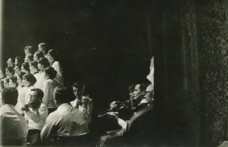 IV. Dél-bánáti Szemle