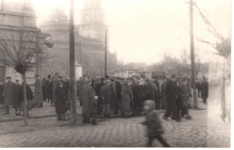 Választások Zentán