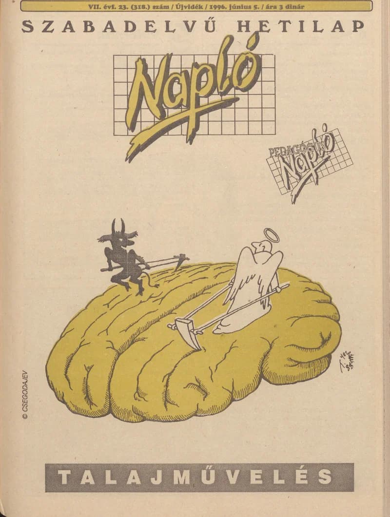 Napló - Szabadelvű hetilap, 7. évf. 1996. június 5. 318. sz.