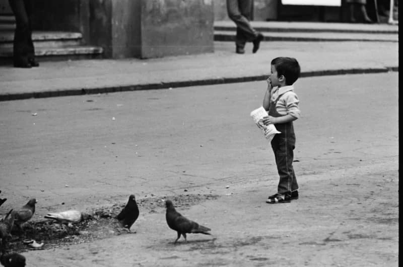 Gyerekek Újvidék utcáin