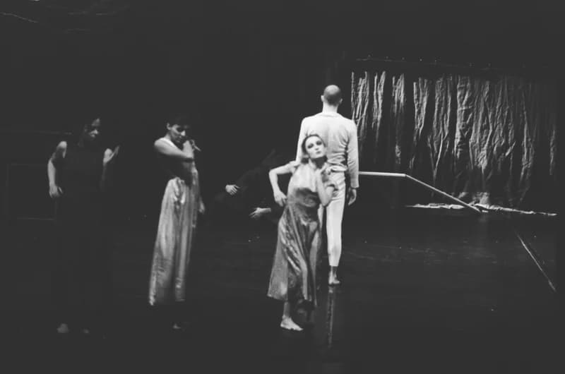 A Párizsi Jel Színház előadása: A hét rinocéroszbőr