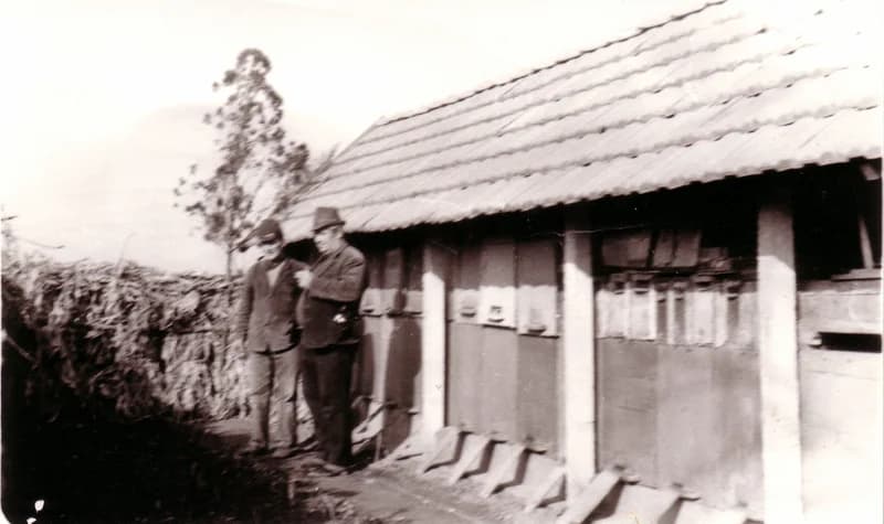 Beszélgetés a méhkaptárok előtt