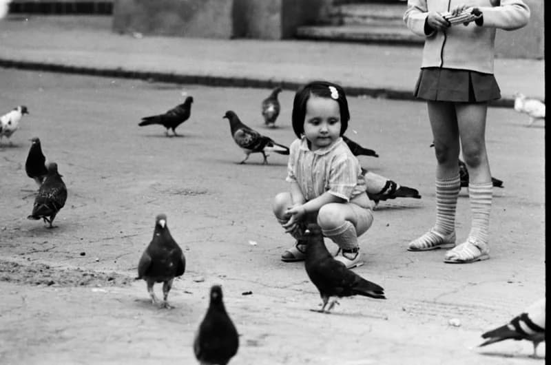 Gyerekek Újvidék utcáin