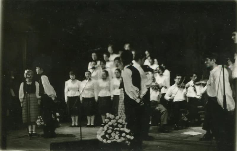 IV. Dél-bánáti Szemle