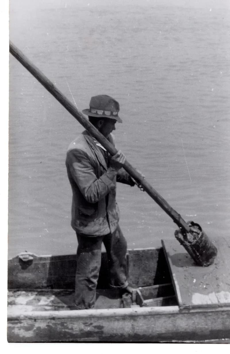 Tiszavirág  gyűjtése