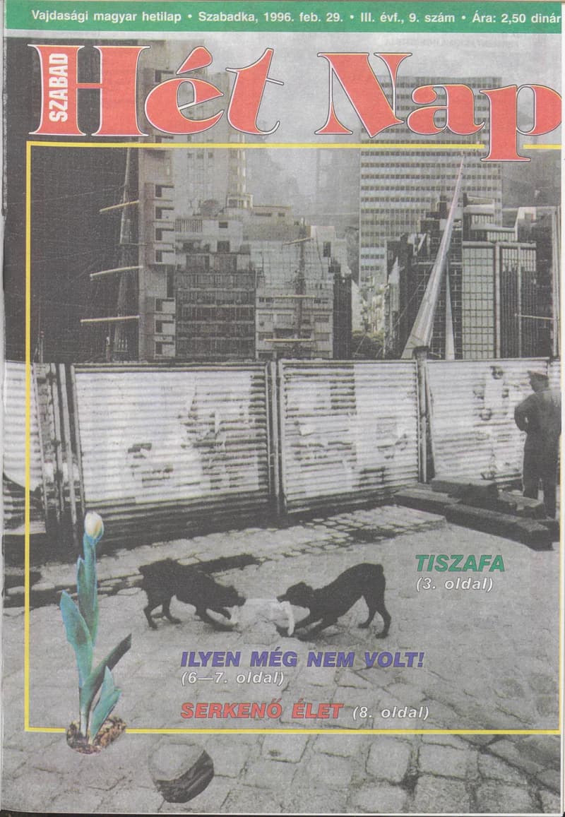 Szabad Hét Nap, 3. évf. 1996. február 29. 9. sz.