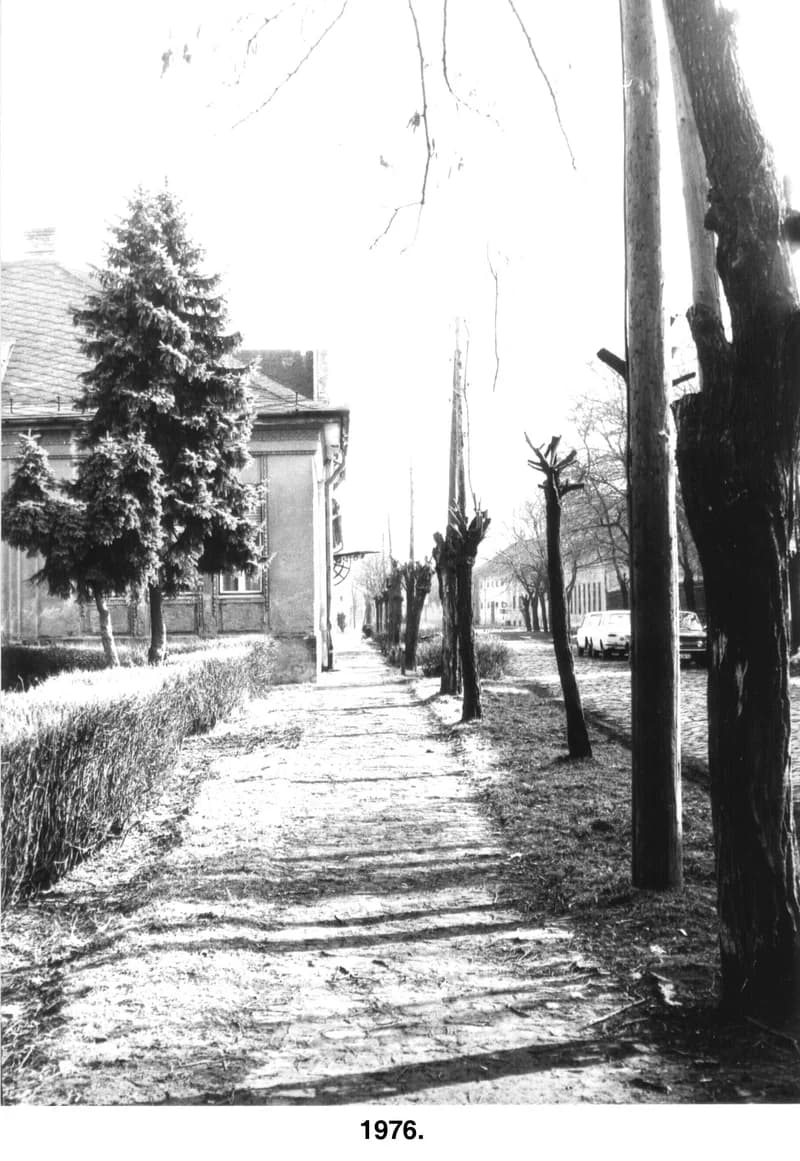 A zentai Vuk Karadžić utca