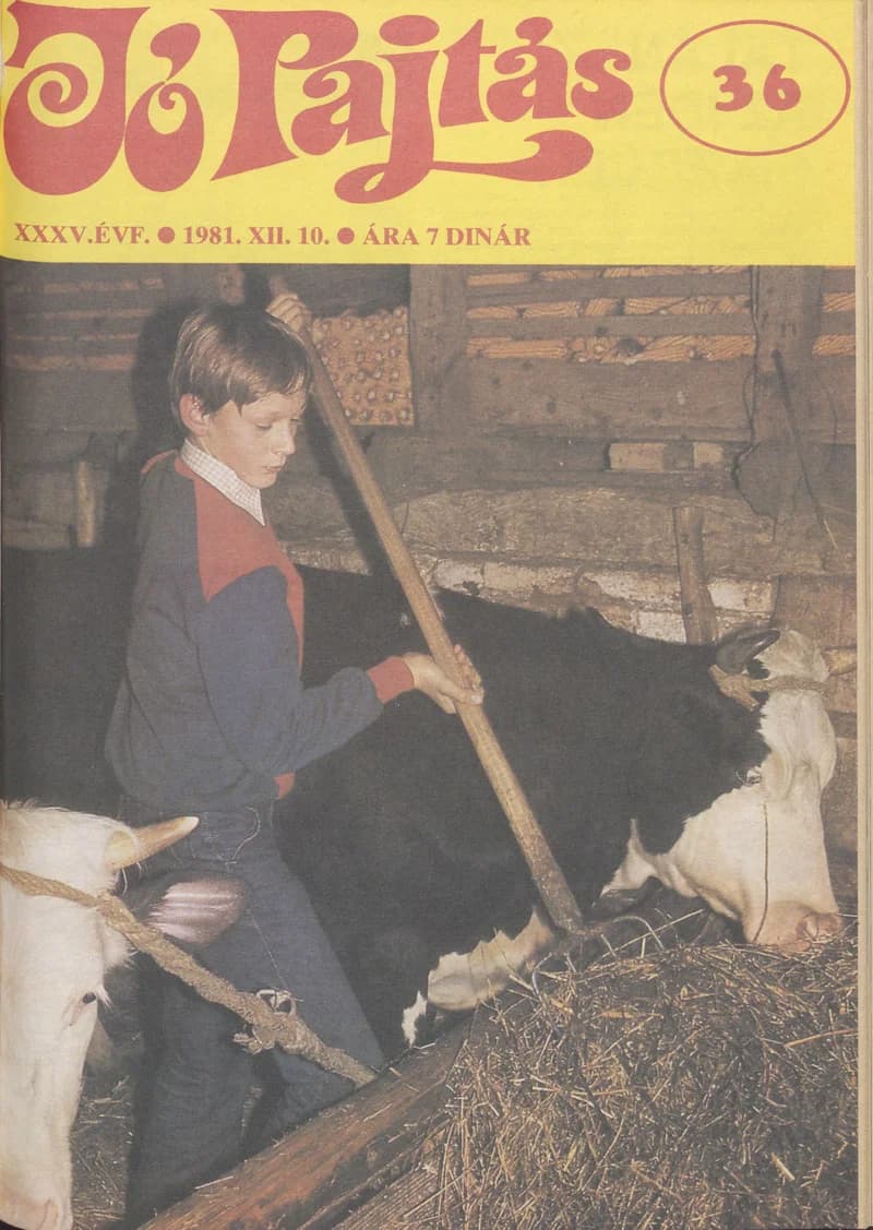 Jó Pajtás, 35. évf. 1981. december 10. 36. sz.
