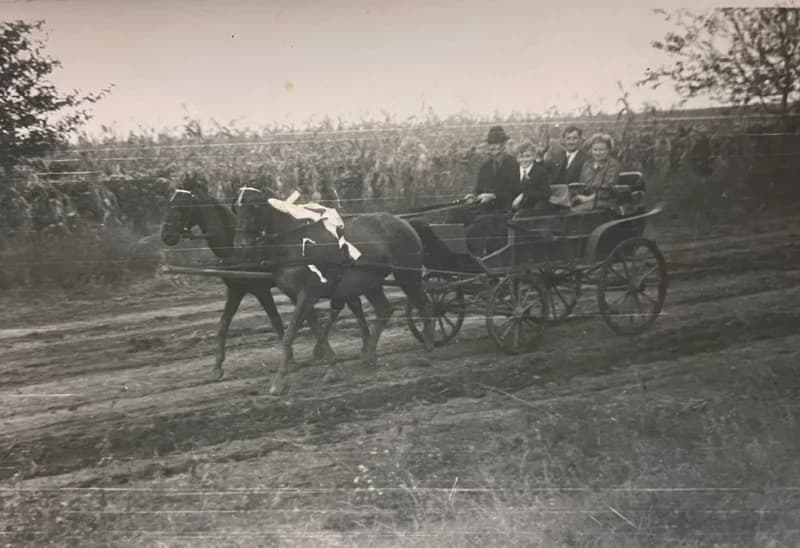 Család a lovaskocsin lakodalomba menet 