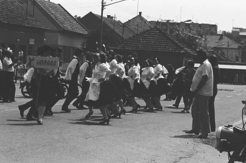 XX. Durindó - Gyöngyösbokréta