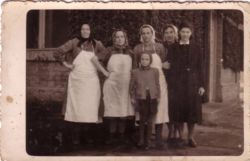 Vitamin Élelmiszeripari Vállalat