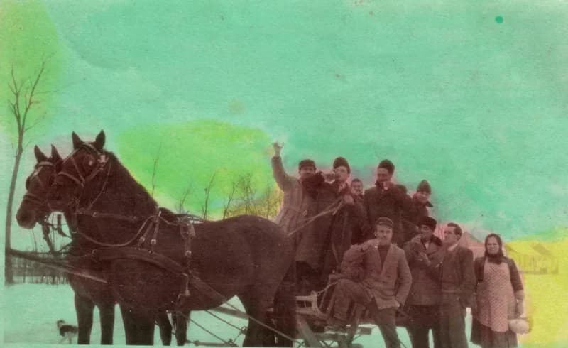 Vigadalom lovasszánon