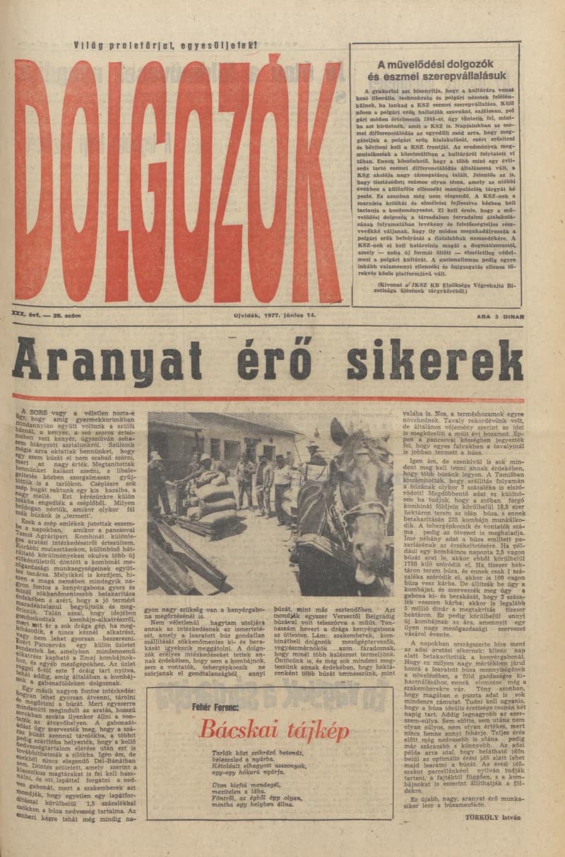 Dolgozók, 31. évf. 1977. július 14. 28. sz.