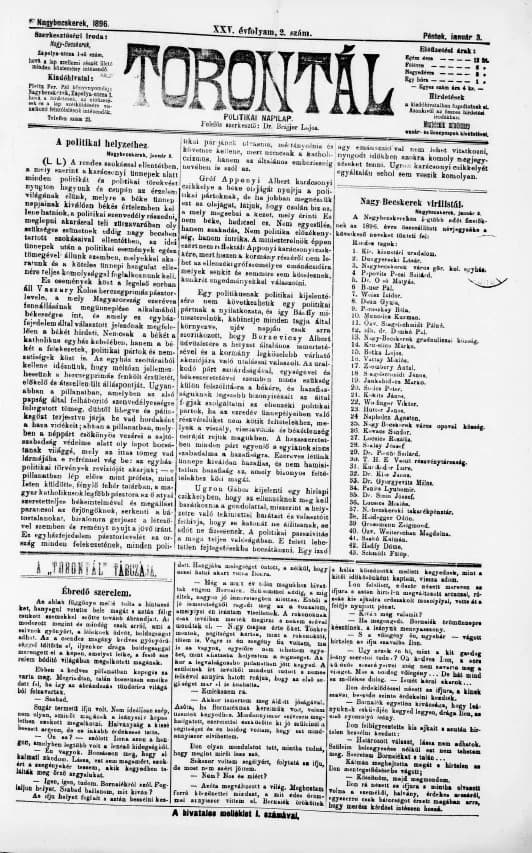 Torontál, 25. évf. 1896. január 3. 2. sz.