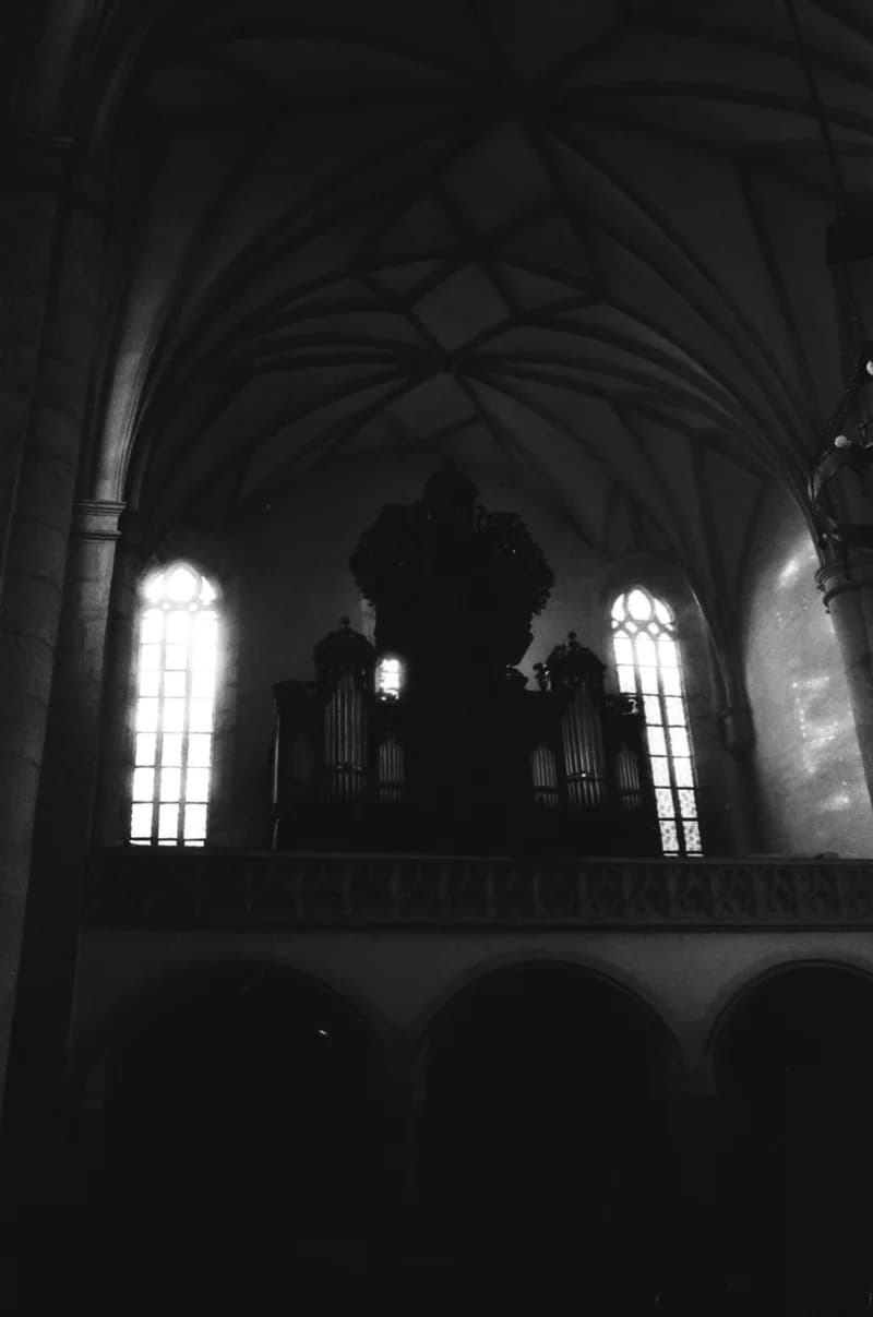 Az Újvidéki Színház Kolozsváron